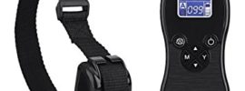 ZeeHoo Dog Training Collar 875 Yards( Review)