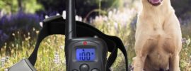 Petronics 330 Yards Rechargeable Shock Training Collar with Remote Review