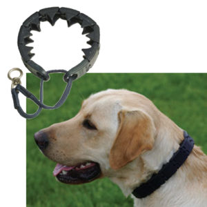 starmark dog training collar