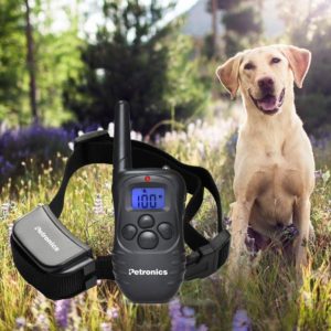 Petronics 330 Yards Rechargeable Shock Training Collar with Remote Review